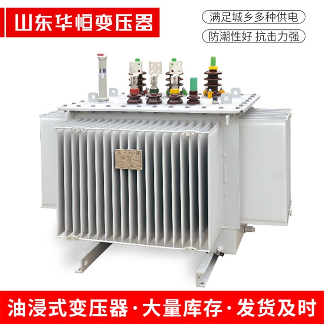 S13-10000/35丽水丽水丽水电力变压器